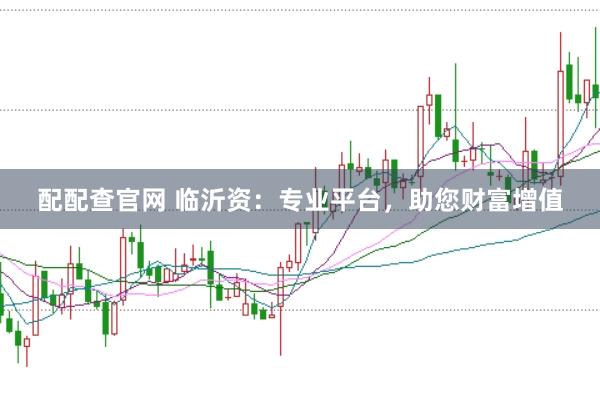 配配查官网 临沂资：专业平台，助您财富增值