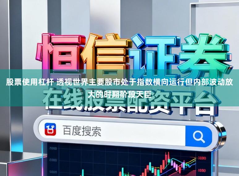 股票使用杠杆 透视世界主要股市处于指数横向运行但内部波动放大的时期阶段天臣