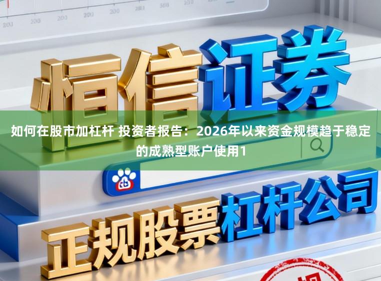 如何在股市加杠杆 投资者报告：2026年以来资金规模趋于稳定的成熟型账户使用1